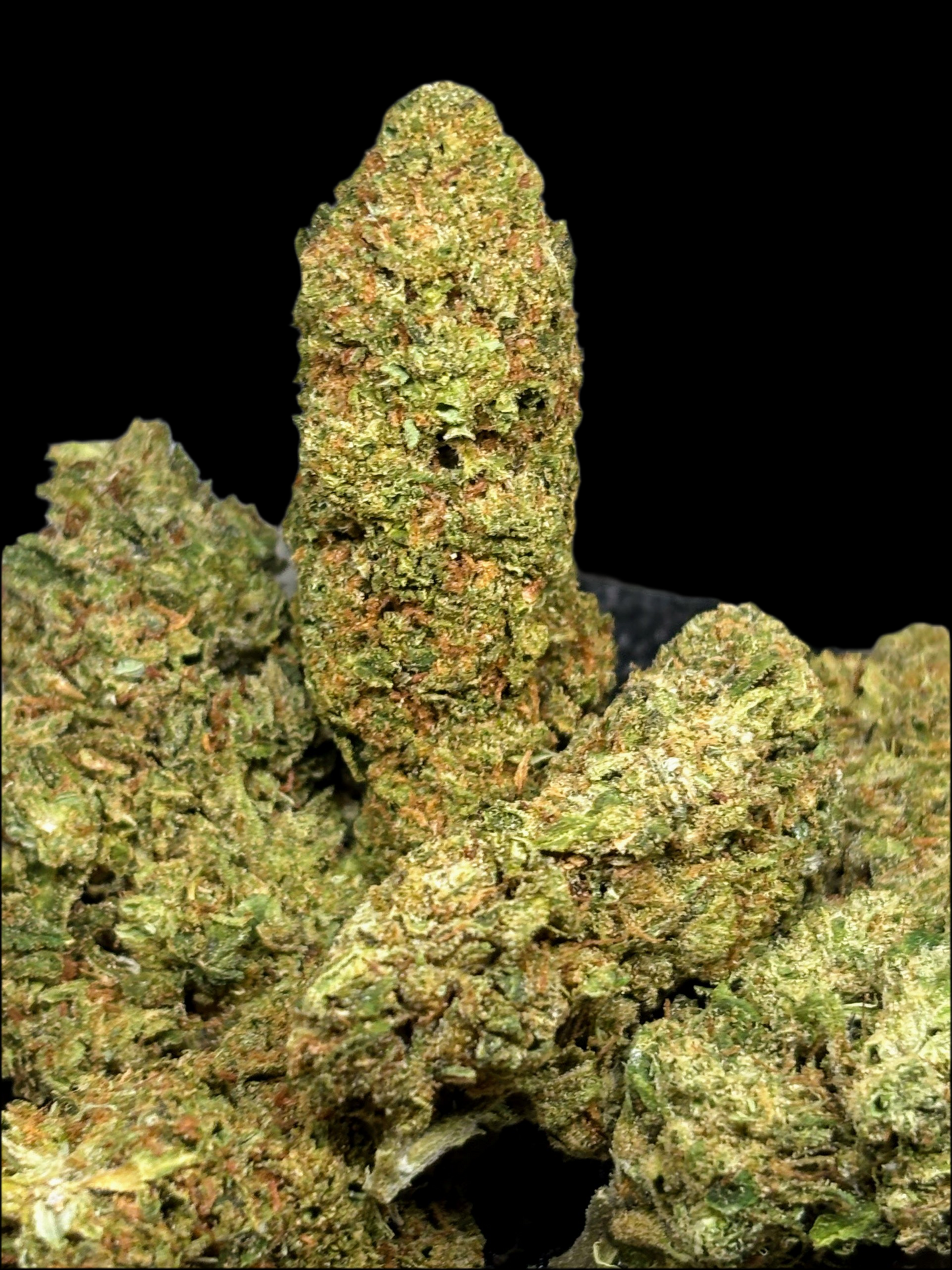 Permanent Marker THCA Flower | Premium Cannabis | The Mad Skunk