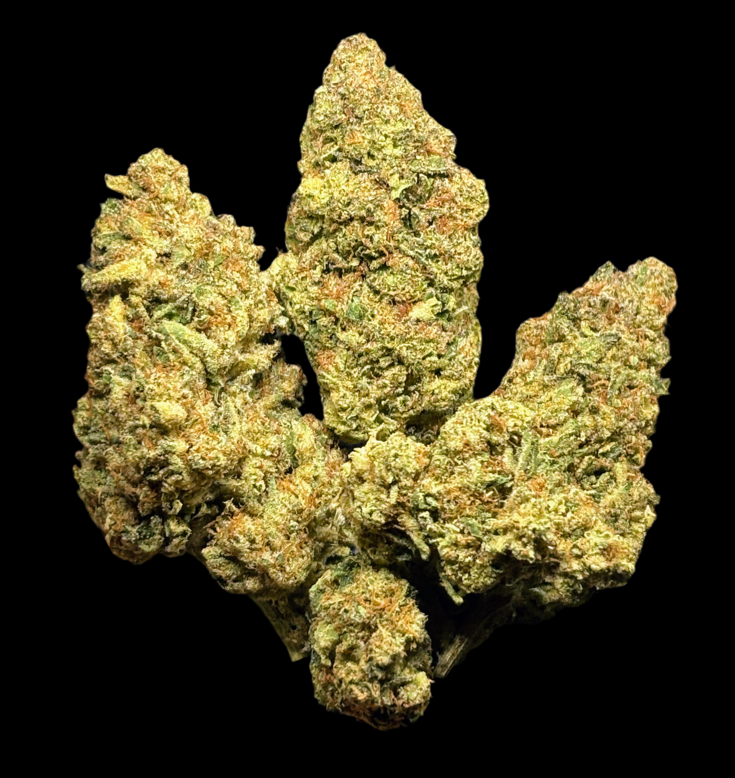 Ghost Train Haze THCA Flower | Premium Cannabis | The Mad Skunk